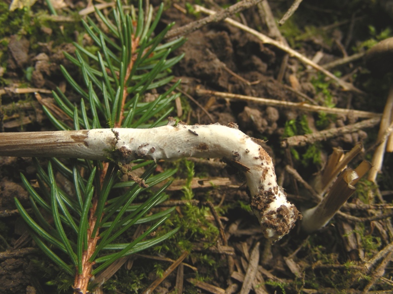 Escursione trentina con amara sorpresa